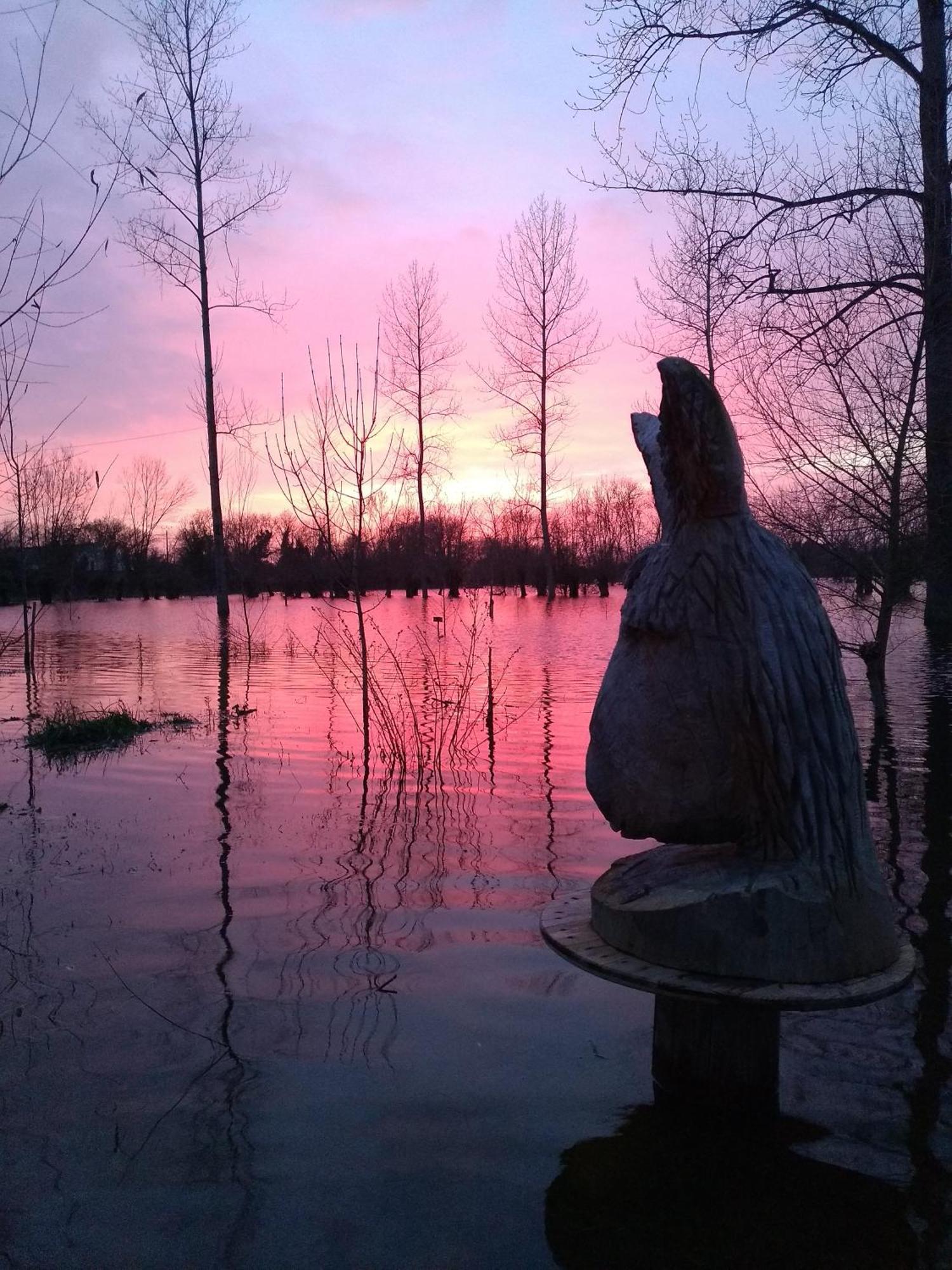 Hotel La Ferme Du Marais Poitevin - Roulotte Benet Esterno foto
