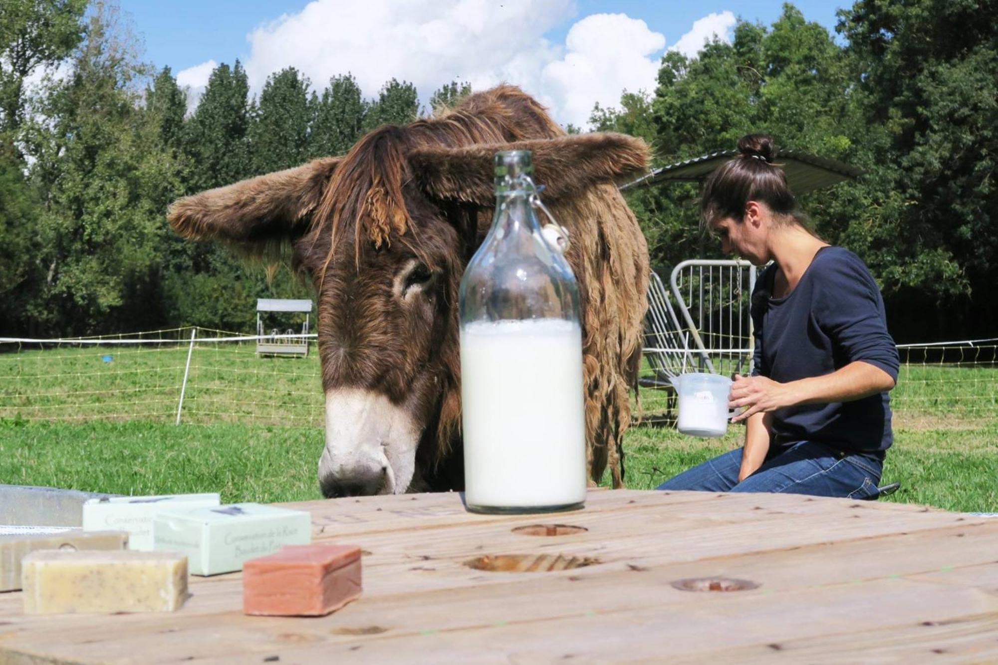 Hotel La Ferme Du Marais Poitevin - Roulotte Benet Esterno foto