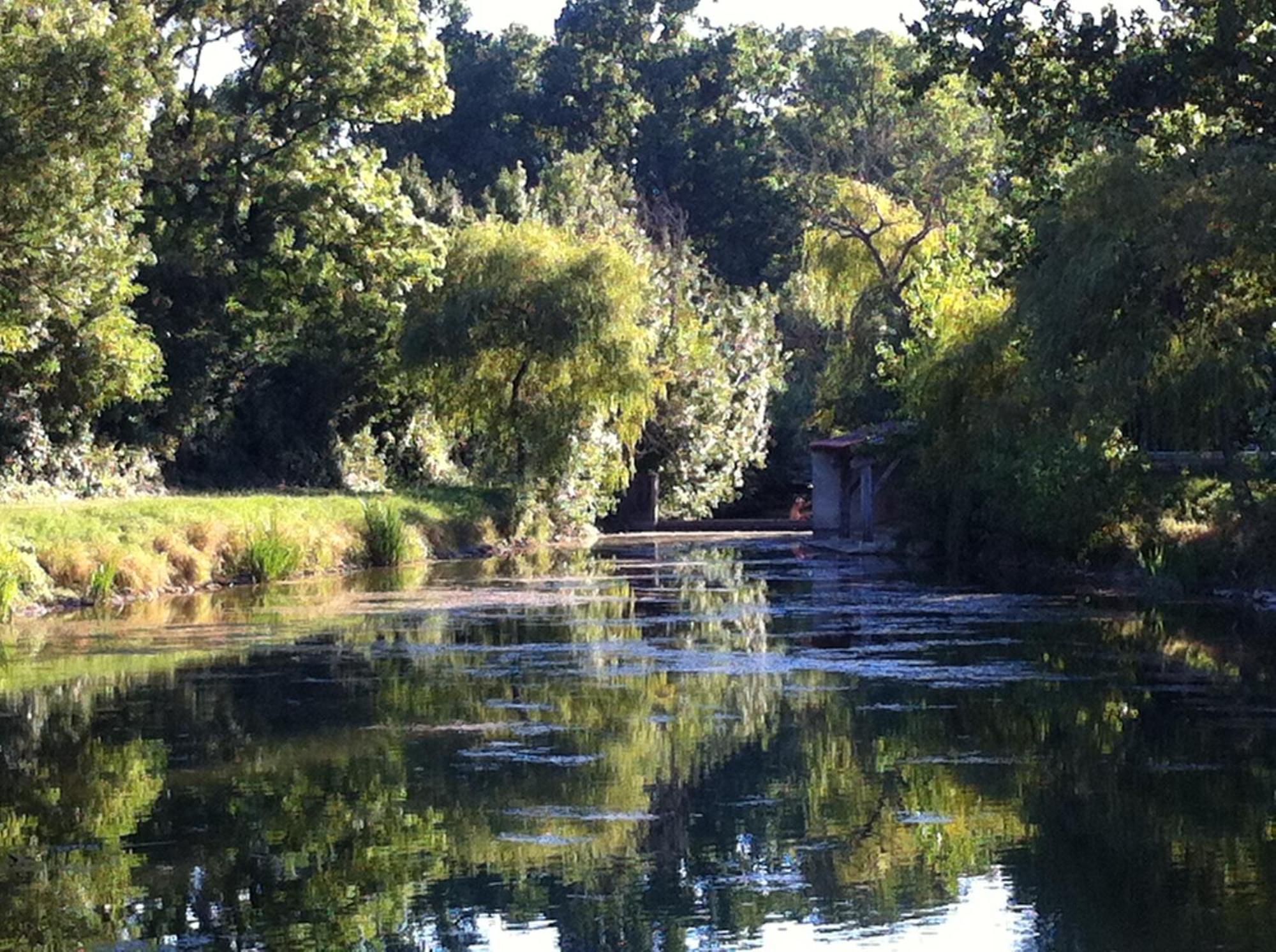 Hotel La Ferme Du Marais Poitevin - Roulotte Benet Esterno foto